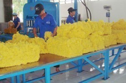 PHR ước đạt 58 tỷ đồng lợi nhuận trong tháng 11/2010, lũy kế 11 tháng đạt 528 tỷ đồng