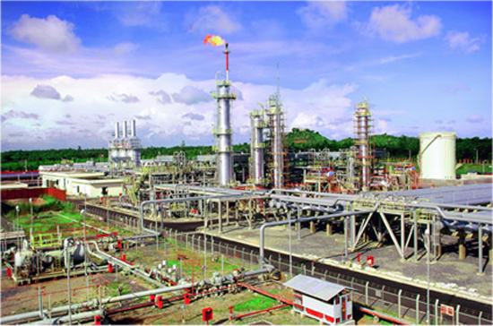 PVG dự kiến lợi nhuận trước thuế đạt 6.437 tỷ đồng, cổ tức ở mức 20%.