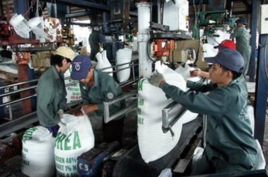Bộ Công Thương dự báo trong thời gian tới, thị trường phân bón trong nước sẽ có biến động do ảnh hưởng bởi sự biến động của thị trường phân bón quốc tế.