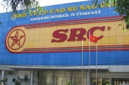 Lợi nhuận 9 tháng năm 2010, SRC lãi 16,24 tỷ đồng. 