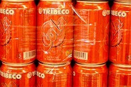 Quý 2/2011, TRI lỗ tiếp 9,097 tỷ đồng.