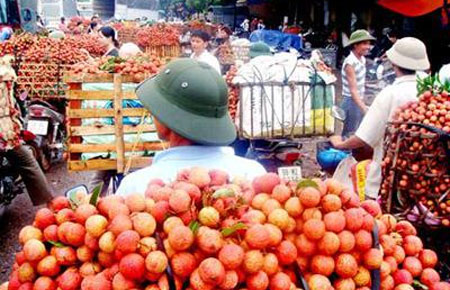 Mấy tháng nay sự xuất hiện của hàng loạt thương lái Trung Quốc dưới nhiều hình thức khác nhau ở một số tỉnh Nam Trung Bộ và Tây Nguyên với mục đích dụ dỗ, o ép nông dân bán các loại PG88 xổ số, casino, bóng đá, rau quả đã khiến nhiều địa phương hoang mang - Ảnh minh họa.