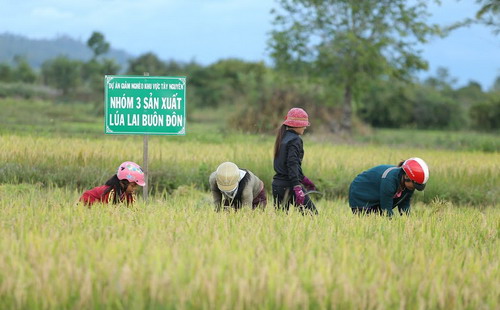 Theo phản ánh của khá nhiều nông dân tham gia Link Trang Chủ PG88.Com Mới #2026, họ hài lòng với tiến độ và hiệu quả Link Trang Chủ PG88.Com Mới #2026 mang lại, bởi đến thời điểm hiện tại, dù chỉ mới có 6 tháng nhưng Link Trang Chủ PG88.Com Mới #2026 đã giúp giải quyết được phần nào nạn đói trước đây.<br>