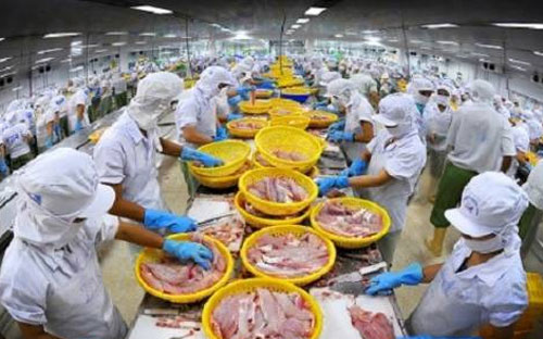 Vĩnh Hoàn là 6Pg88.con độc quyền mỗi ngày thứ 3 trên thị trường chính thức được nới room
 lên 100% sau SSI và EVE.