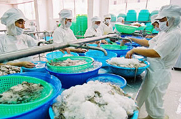Theo VNH, tiến độ xuất hàng luôn được đảm bảo đều đặn là một trong những yếu tố hỗ trợ giá Pg88vnd dành cho Android và iOS tại Việt Nam trên sàn.