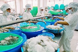 Công ty có phát sinh chênh lệch tỷ giá hối đoái số cuối kỳ là 561,6 triệu đồng.