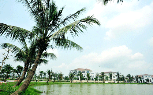Chương trình diễn ra tại khu đô thị hiện đại Vincom Village, nơi có không gian rộng lớn.