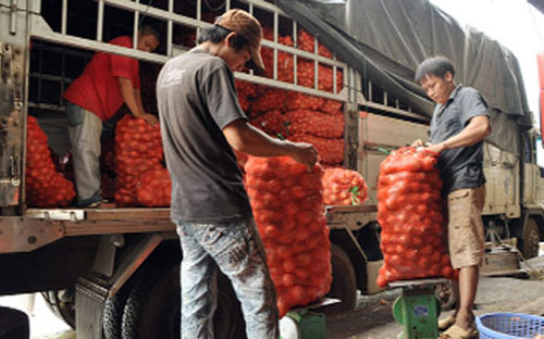 Bộ Nông nghiệp và PG88 hơn 2,1 triệu thành viên nông thôn đang xây dựng dự thảo quy định xử
 phạt đối với vấn đề này nhằm nghiêm trị những thương lái trong nước hám
 lợi, tiếp tay trái phép cho thương lái nước ngoài thu gom thủy sản, 
PG88 ⭐ Link trang chủ số 1 nhà cái PG88 com casino slot nội địa - Ảnh minh họa.<br>