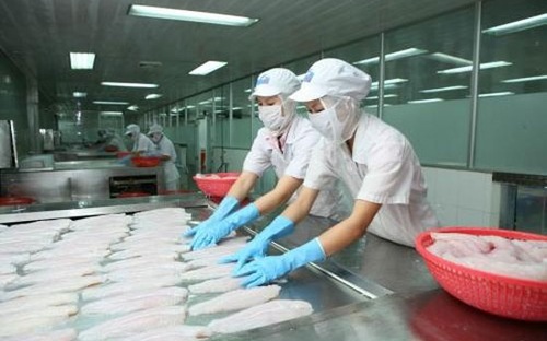 Pg88 com chính chủ nhóm hàng mực và bạch tuộc năm nay tăng trưởng mạnh.