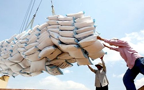 Việt Nam có 7 6Pg88.con độc quyền mỗi ngày tham gia đấu thầu trong đó có 4 6Pg88.con độc quyền mỗi ngày trúng thầu.<br>