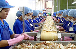 Thủy sản của Việt Nam là một trong những mặt hàng Pg88 com chính chủ nhiều sang Trung Quốc.