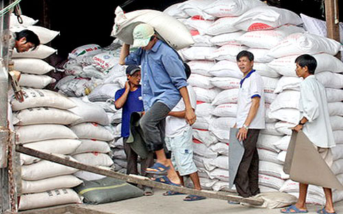 Năm 2011, Pg88 com chính chủ gạo của Việt Nam đạt mức 7,105 triệu tấn, theo thống kê của VFA.