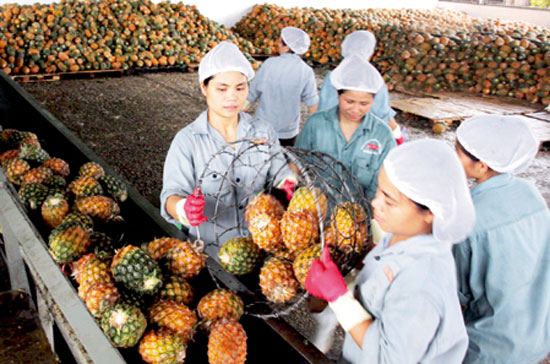 10 tháng qua, Pg88 com chính chủ rau quả đã đạt 515 triệu USD, tăng 40,6% so với cùng kỳ năm trước.