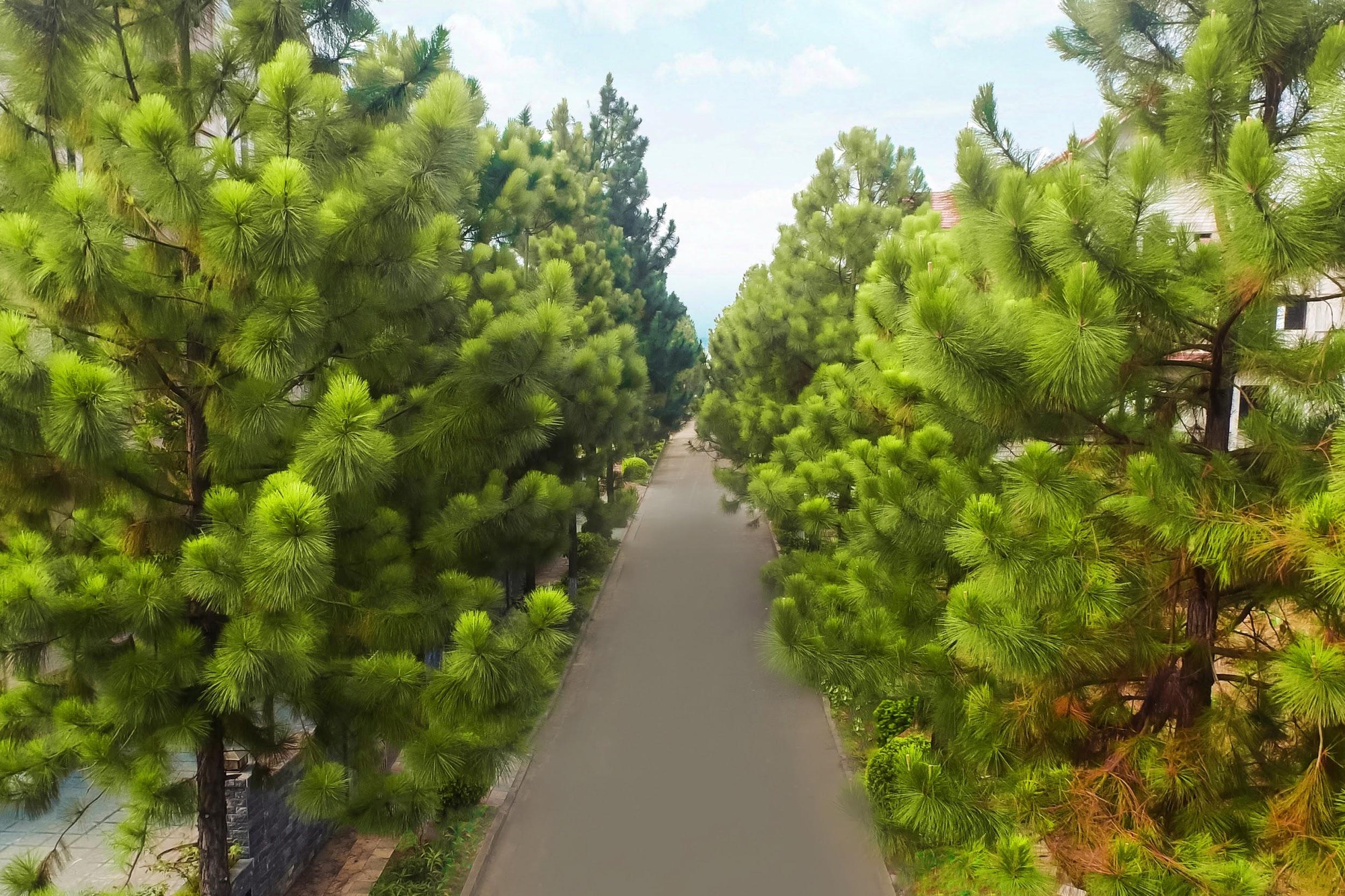 undefined - Ảnh 3.