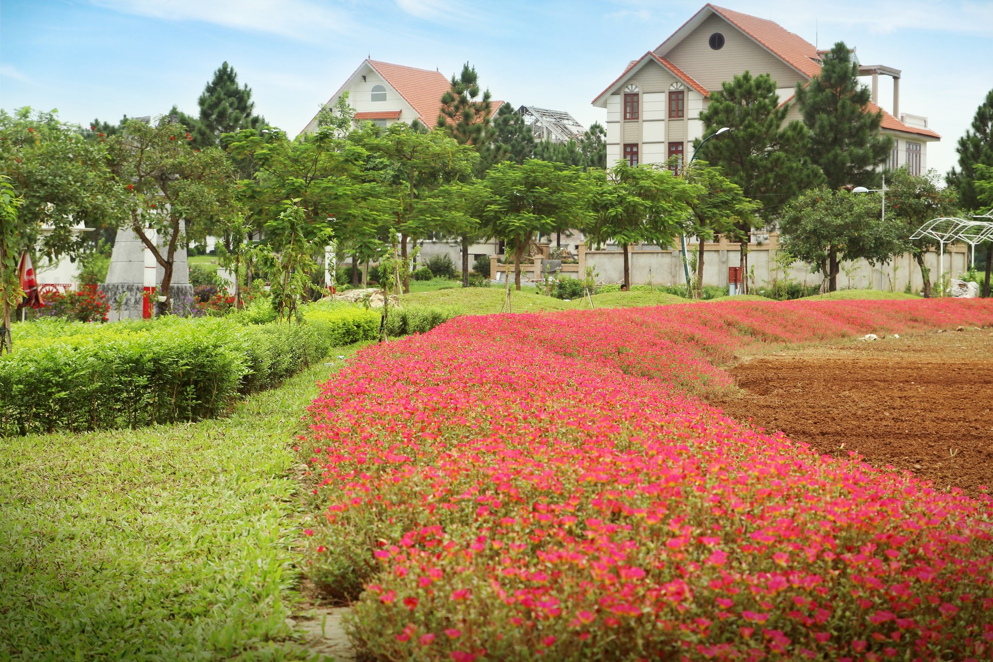undefined - Ảnh 4.
