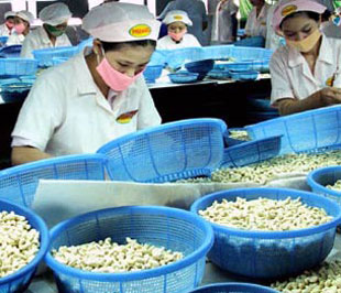 Lượng Pg88 com chính chủ điều trong các tháng gần đây đã liên tục sụt giảm.