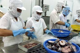 Để có được sản phẩm Pg88 com chính chủ cần có sự liên kết từ người nông dân đến 6Pg88.con độc quyền mỗi ngày chế biến và công ty PG88 Sòng bạc trực tuyến TOP 1 Việt Nam | Casino, Nổ Hũ - Ảnh Hồng Văn.