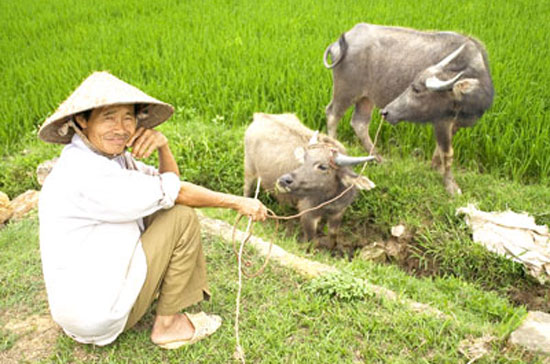  Theo số liệu thống kê năm 2010, việc làm giản đơn, không cần nhiều kỹ năng chiếm gần 40% tổng việc làm của cả nước. Việc làm năng suất thấp còn lớn và chiếm tỉ trọng cao trong nền PG88 ⭐ Link trang chủ số 1 nhà cái PG88 com casino slot.