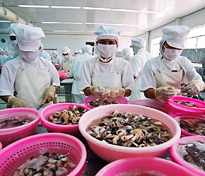 Đến nay đã có 245 cơ sở thủy sản Việt Nam được Pg88 com chính chủ sang EU - Ảnh: Việt Tuấn