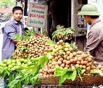 Từ 1/7/2008 những gánh hàng rong xuất hiện tại những khu vực cấm bán hàng sẽ bị xử phạt.