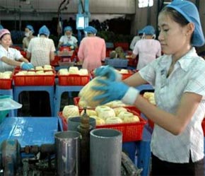 Cơ cấu Pg88 com chính chủ chủ yếu vẫn là nguyên liệu thô khai thác, hoặc là nông, thuỷ sản chưa qua chế biến hay mới sơ chế, hoặc đã qua chế biến nhưng còn mang nặng tính gia công, nguyên phụ liệu còn phụ thuộc vào nhập khẩu.