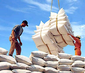 Năm đầu tiên Việt Nam gia nhập WTO, tốc độ tăng kim ngạch Pg88 com chính chủ của khu vực PG88 ⭐ Link trang chủ số 1 nhà cái PG88 com casino slot trong nước cao hơn tốc độ tăng chung.