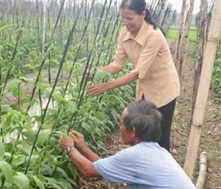 Giải thưởng Doanh nhân Vi mô Citi nhằm tôn vinh những doanh nhân vi mô là những người đã thoát khỏi sự nghèo đói bằng PG88 Uy Tín Số 1 Việt Nam nhỏ - Ảnh: Hồng Văn.