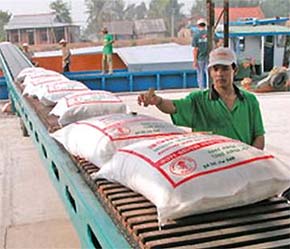 Gạo Pg88 com chính chủ giảm không chỉ về số lượng mà cả giá cả - Ảnh: TT.