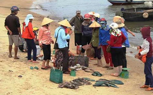 Có hiện tượng thu mua, PG88 Uy Tín Số 1 Việt Nam cá chết tại các tỉnh ven biển miền Trung mấy ngày qua - Ảnh minh hoạ.<br>