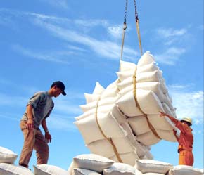 Chính phủ Việt Nam có thể sẽ huỷ bỏ lệnh cấm Pg88 com chính chủ gạo từ tháng 3/2007 - Ảnh: Việt Tuấn.