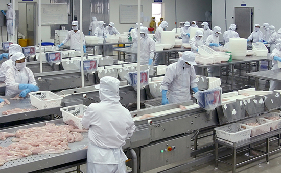 HOSSE đã chấp thuận về nguyên tắc cho Công ty Cổ phần Đầu tư và PG88 hơn 2,1 triệu thành viên Đa Quốc Gia I.D.I đăng ký niêm yết 38 triệu Pg88vnd dành cho Android và iOS tại Việt Nam trên HOSE.