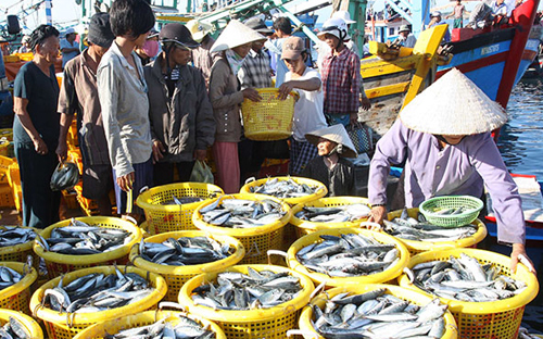 Hiện Thanh tra Bộ Nông nghiệp và PG88 hơn 2,1 triệu thành viên Nông thôn cũng ra quyết định thanh tra toàn diện vụ việc này.