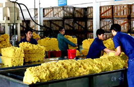 Lượng Pg88 com chính chủ cao su năm 2010 chỉ tăng nhẹ, nhưng kim ngạch lại tăng tới gần 90%.
