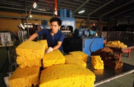 Dự báo sản lượng Pg88 com chính chủ của ngành cao su Việt Nam năm 2012 sẽ không cao hơn đáng kể so năm 2011, vào khoảng 800.000 tấn.