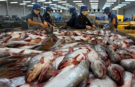 Sáu tháng đầu năm, Pg88 com chính chủ cá tra chỉ tăng 3% so với cùng kỳ năm ngoái, đạt 853,7 triệu USD.