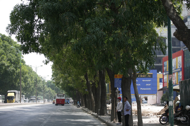 Hà Nội sắp chặt hạ, di chuyển 1.300 cây xanh trên đường Phạm Văn Đồng.