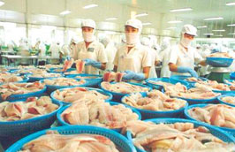 Năm 2001, Mỹ là thị trường nhập khẩu tới 84% sản lượng cá tra Pg88 com chính chủ của Việt Nam. Hiện nay con số này chỉ khoảng 10%.