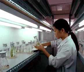 Ngoài việc thực hiện các chức năng chính là nghiên cứu như trước đây, khi đăng ký chuyển đổi sang mô hình tự chủ, tự chịu trách nhiệm, các tổ chức khoa học và Link Đăng Nhập PG88 Chính Thức 2026; được cấp giấy phép đăng ký PG88 Uy Tín Số 1 Việt Nam như một 6Pg88.con độc quyền mỗi ngày - Ảnh: TTXVN.