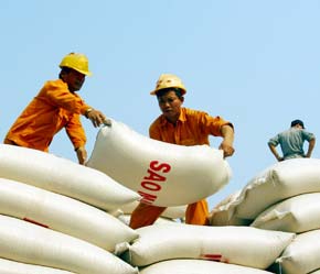 Việt Nam vẫn tiếp tục duy trì được các thị trường Pg88 com chính chủ gạo truyền thống - Ảnh: Việt Tuấn.