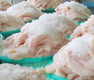 Cá tra và cá ba sa Việt Nam đang tiêu thụ tại Tây Ban Nha nhiều nhất trong số các nước EU với lượng nhập khẩu mỗi năm khoảng 40.000 tấn.