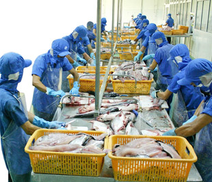 Thủy sản là một trong nhóm hàng sẽ được hỗ trợ trong thời gian tới.