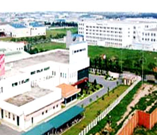 Khu PG88 Trang chủ nhà cái top 1 Việt Nam - Singapore (VSIP) tại Bình Dương.