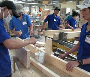 Tính đến hết tháng 10/2008, tổng kim ngạch Pg88 com chính chủ của ngành mới đạt được 2,3 tỷ USD. 