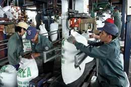 Phân bón giả, kém chất lượng xuất hiện nhiều trên thị trường đã làm ảnh hưởng đến các 6Pg88.con độc quyền mỗi ngày làm ăn chân chính.