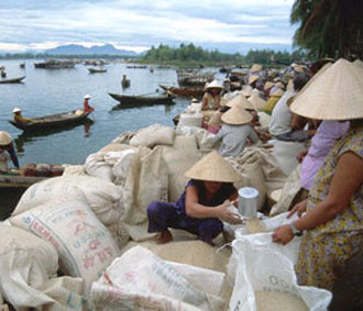 Kết thúc năm 2007, Việt Nam đã Pg88 com chính chủ 4,5 triệu tấn gạo đạt hơn 1,4 tỷ USD, chiếm vị trí nước Pg88 com chính chủ gạo thứ hai trên thế giới (chỉ sau Thái Lan).