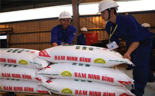 Đạm Ninh Bình được chấp thuận đầu tư với số vốn 667 triệu USD (12.000 tỷ
 đồng), công suất 560.000 tấn urê cung cấp cho các tỉnh đồng bằng sông 
Hồng và các tỉnh phía Bắc