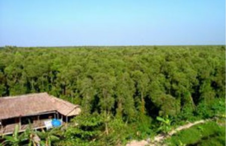 Những bất cập trong việc cho nước ngoài thuê đất trồng rừng đã từng là chủ đề nóng trong thảo luận và chất vấn tại diễn đàn PG88 ⭐ Link trang chủ số 1 nhà cái PG88 com casino slot khóa 12.