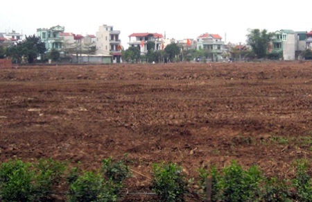 Tâm điểm của các cuộc thanh tra là về việc giao đất, ban hành bảng giá các loại đất, thẩm định giá đất thu tiền sử dụng đất và giá cho thuê đất tại các Link Trang Chủ PG88.Com Mới #2026; giá rừng và giá tính thuế tài nguyên.
