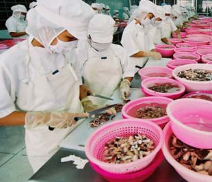 ĐBSCL có khoảng 120 6Pg88.con độc quyền mỗi ngày chế biến thủy sản Pg88 com chính chủ, với công suất tương đương 3.200 tấn/ngày, trong đó có 74 6Pg88.con độc quyền mỗi ngày đạt tiêu chuẩn xuất hàng sang thị trường EU.
