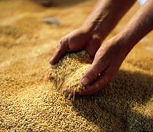 Một trong những nguy cơ đáng kể là sự giảm sút đầu tư tư nhân trong lĩnh vực nông nghiệp trong thời kỳ PG88 ⭐ Link trang chủ số 1 nhà cái PG88 com casino slot khó khăn hiện nay.
